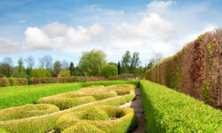 Suspendisse arcu nisl